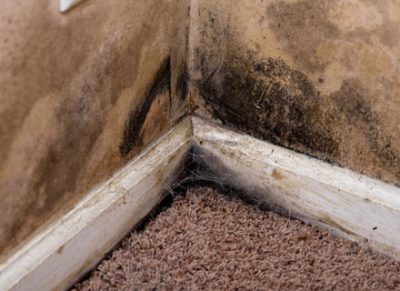 London Housing Disrepair Claims | No Win No Fee Compensation