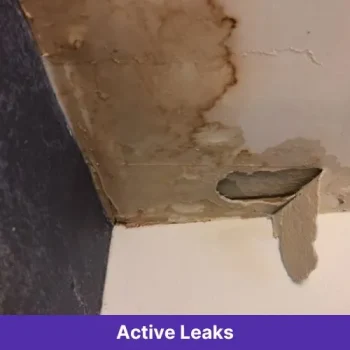 Active Leaks