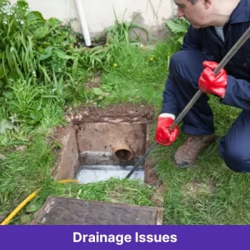Drainage Issues